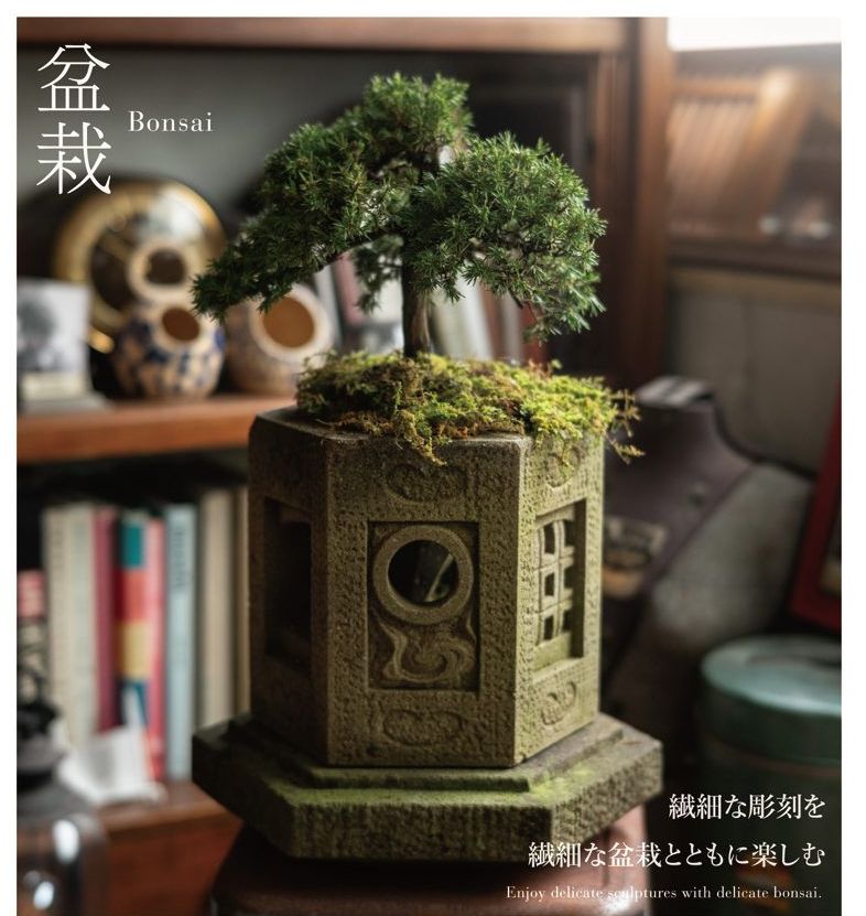 盆栽